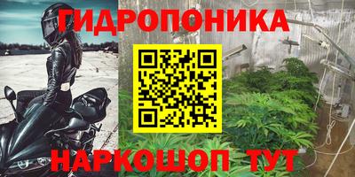 дмт Балахна